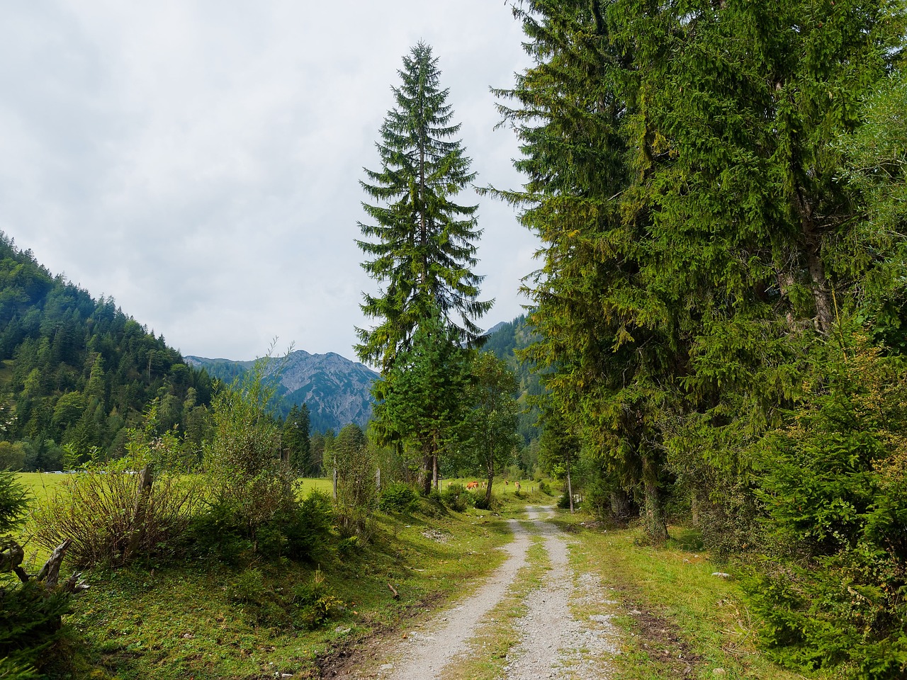 promenade schlettenbach saverne