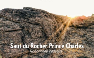 Saut du Rocher Prince Charles : vue imprenable sur Saverne