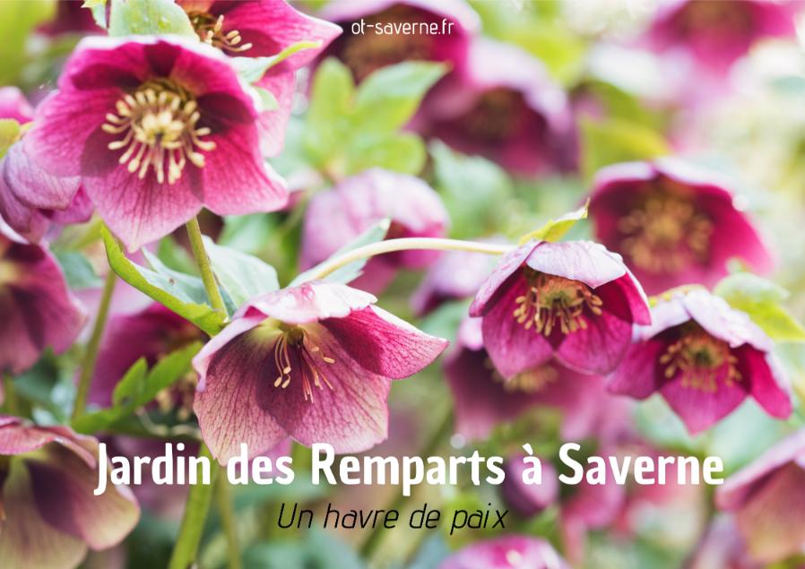 saverne jardin remparts